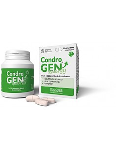 Condrogen Energy  30-60-90cpr