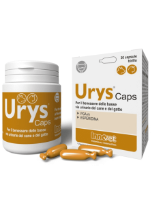 INNOVET Urys Caps