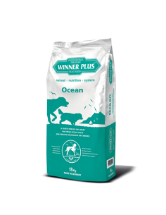 WINNER PLUS Ocean (con salmone)