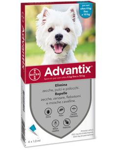 Advantix cane 4 pip 4-10 kg