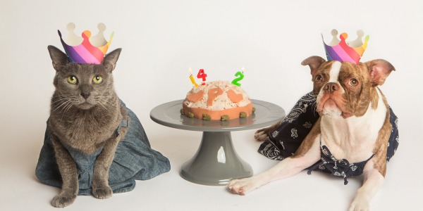 I festeggiamenti per il compleanno del vostro cane o gatto.